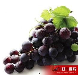 娱乐吃瓜酱葡萄娱乐,揭秘娱乐圈幕后故事与趣味瞬间