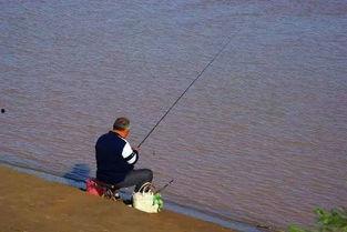 娱乐吃瓜钓鱼视频下载,一键下载收藏攻略